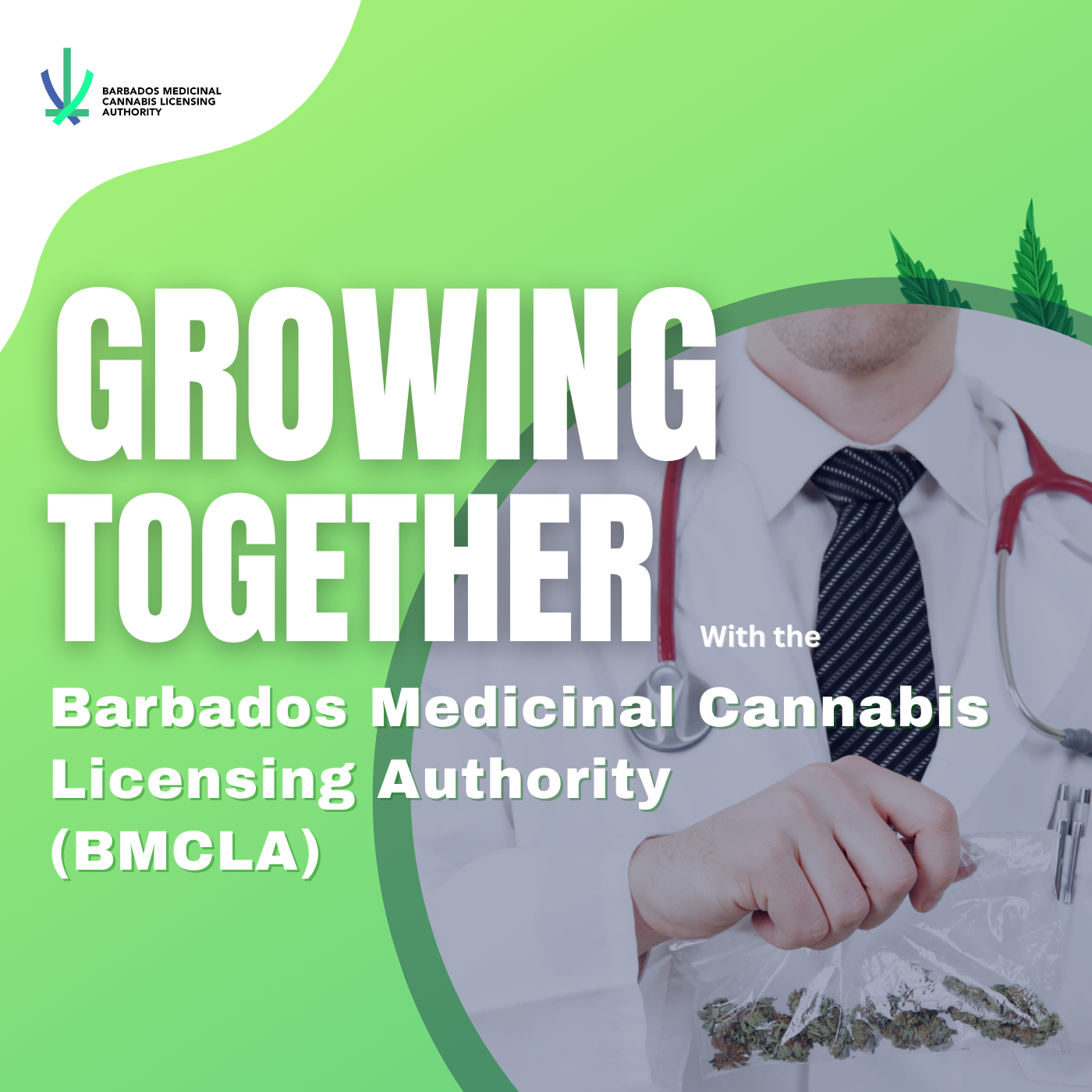 Growing Together with the BMCLA