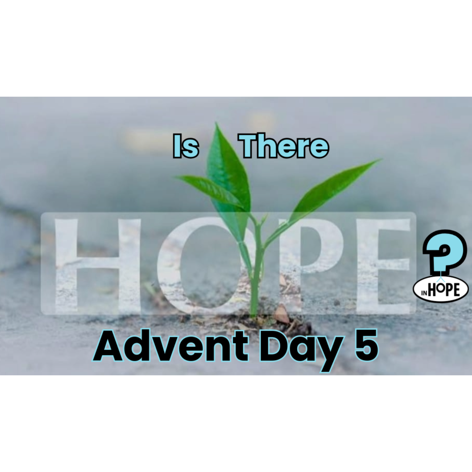 Advent Day 5: Is There Hope for Unity?