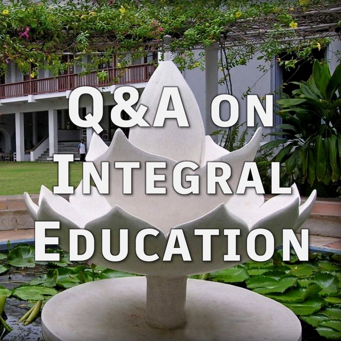 Q&A on Integral Education  |  TH 438 (in Hindi)