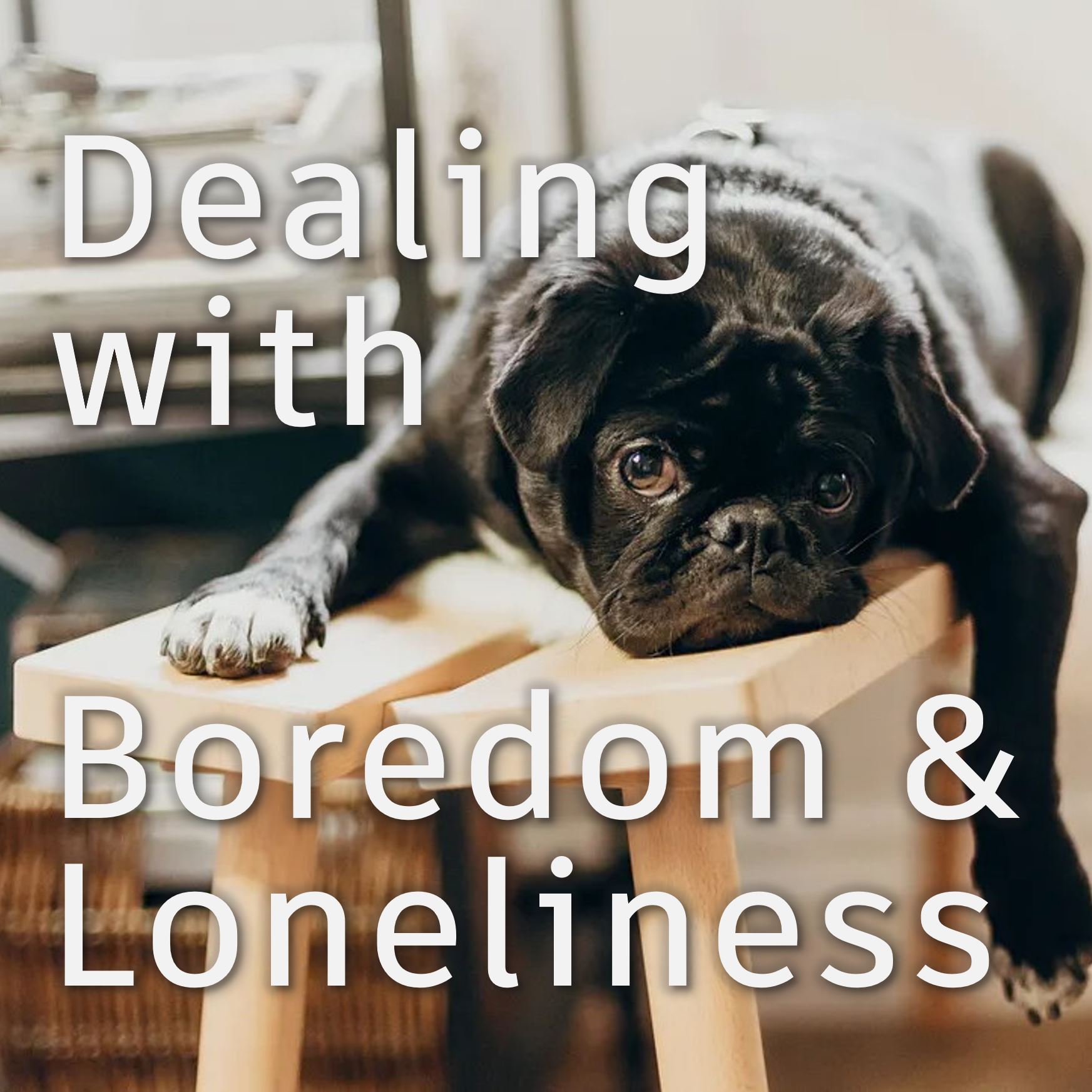 RE 187: How to Deal with Boredom and Loneliness