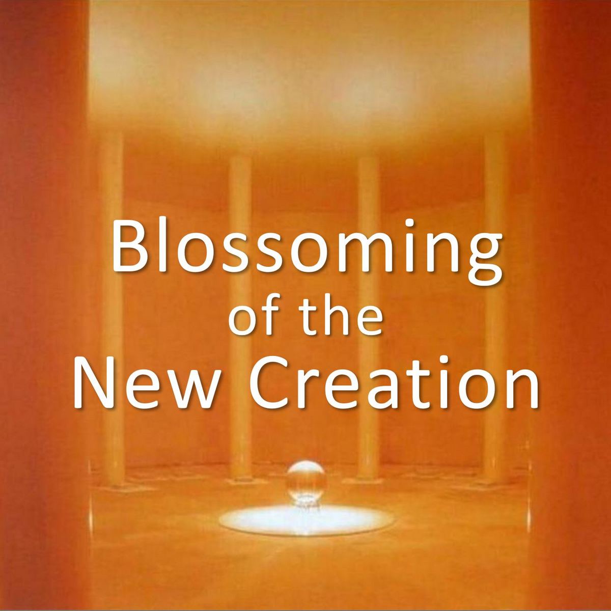 TE 558: Blossoming of the New Creation
