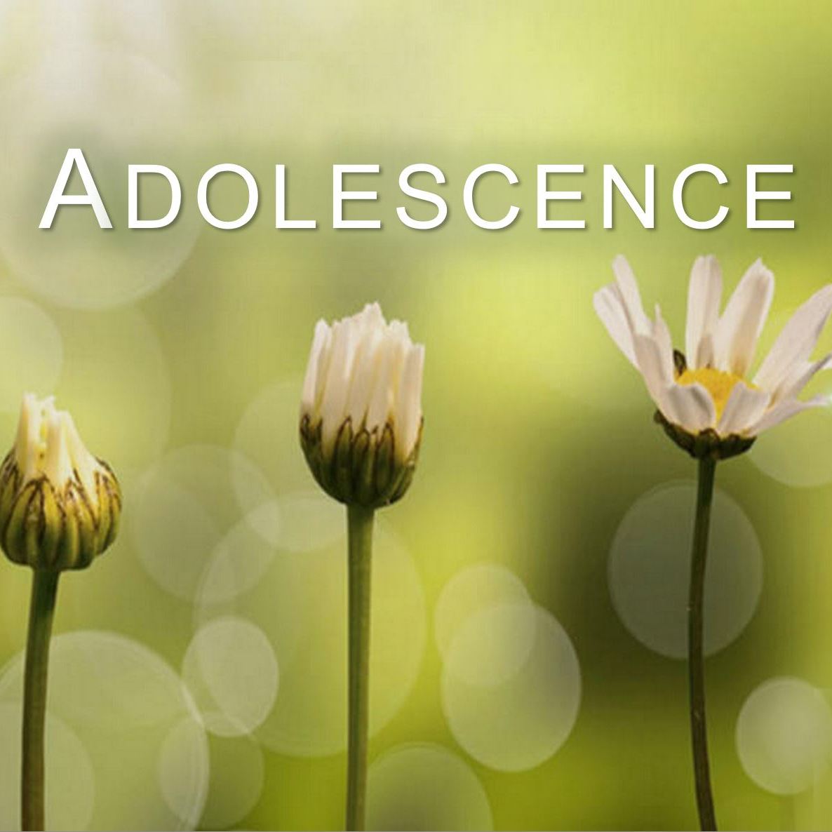 TE 563: Adolescence