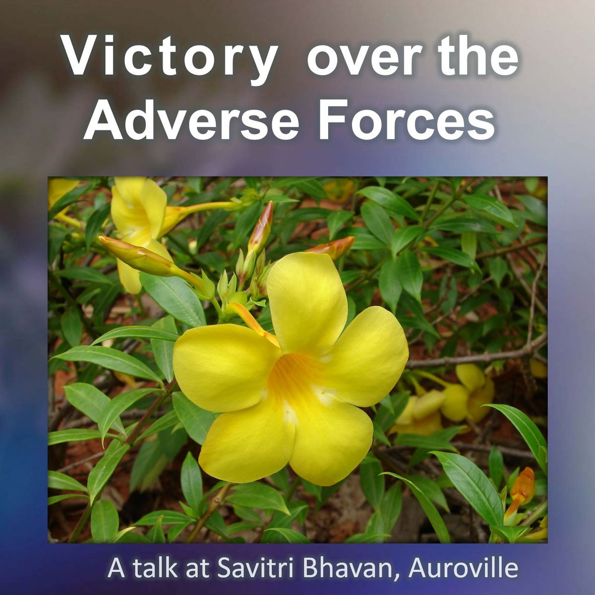 TE 565: Victory over the Adverse Forces