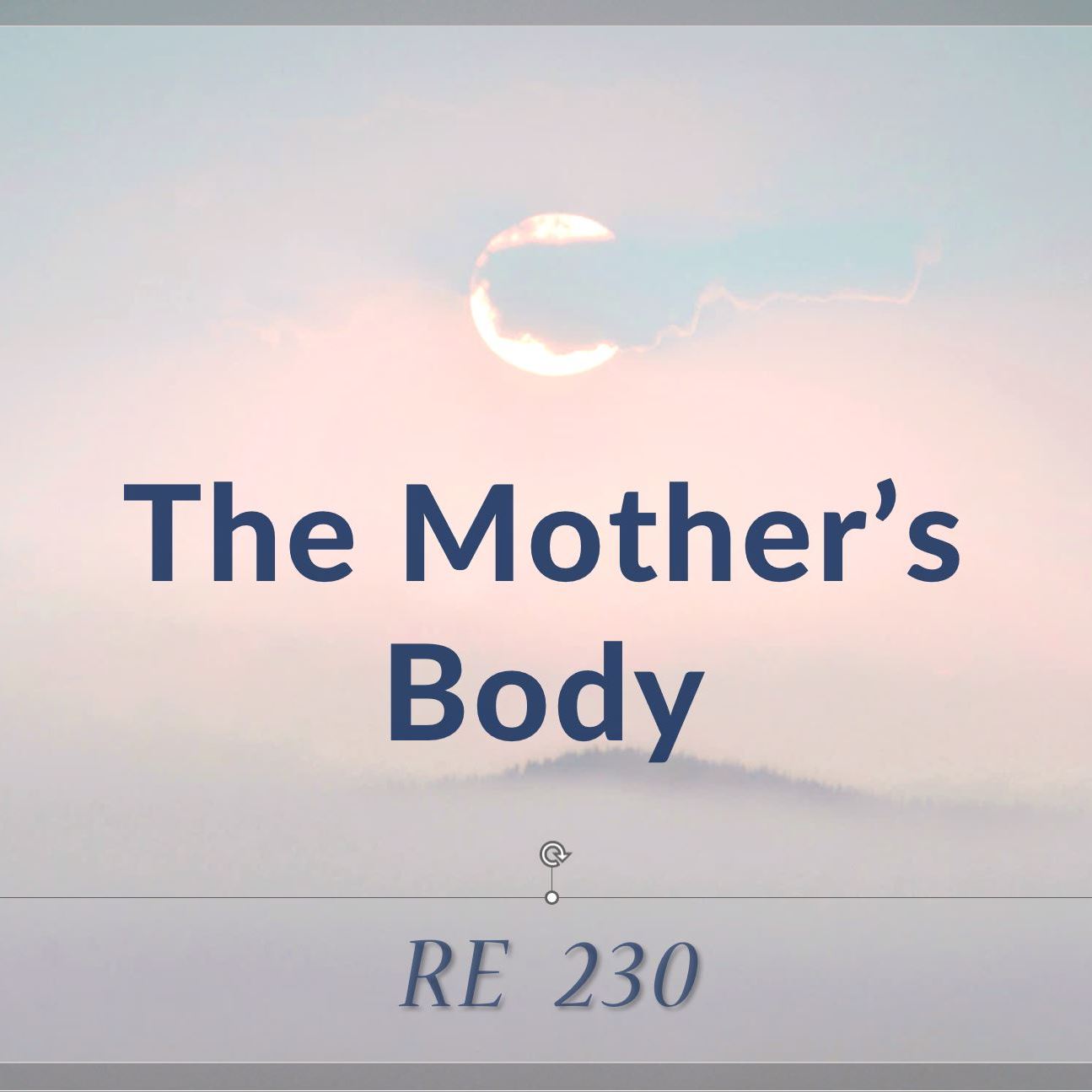 The Mother's Body | RE 230 | Dr Alok Pandey