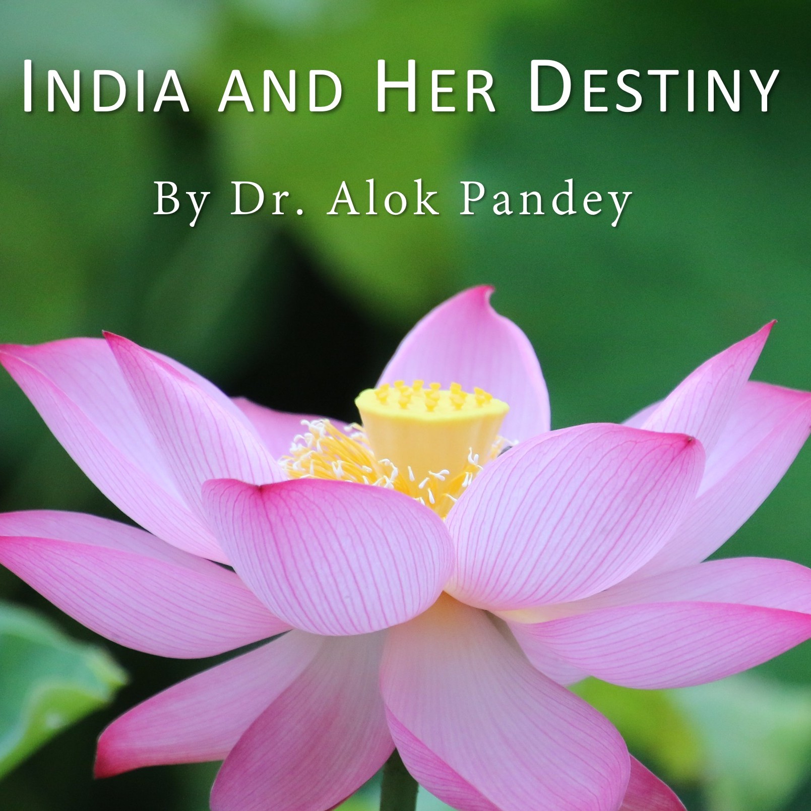 India and Her Destiny | TE 624 | Dr. Alok Pandey