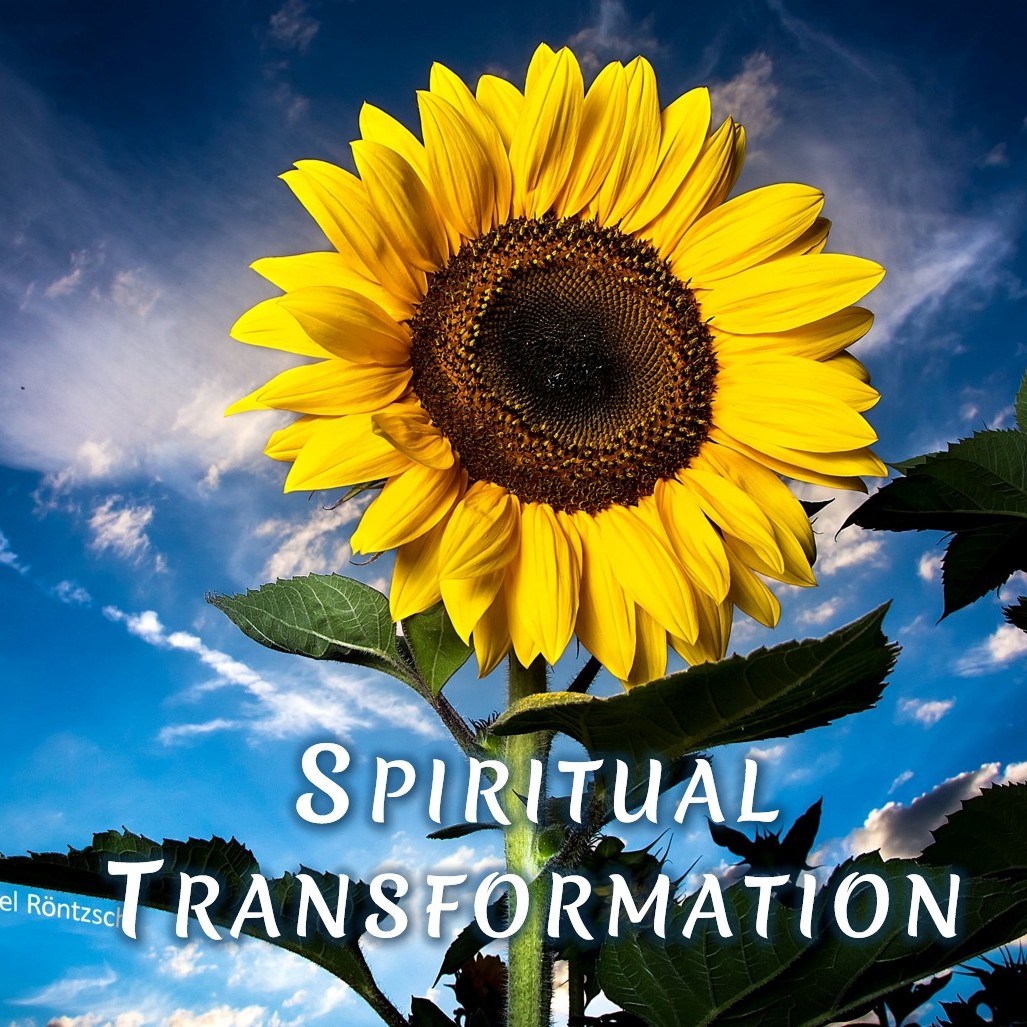 Spiritual Transformation | TE 628 | Dr. Alok Pandey