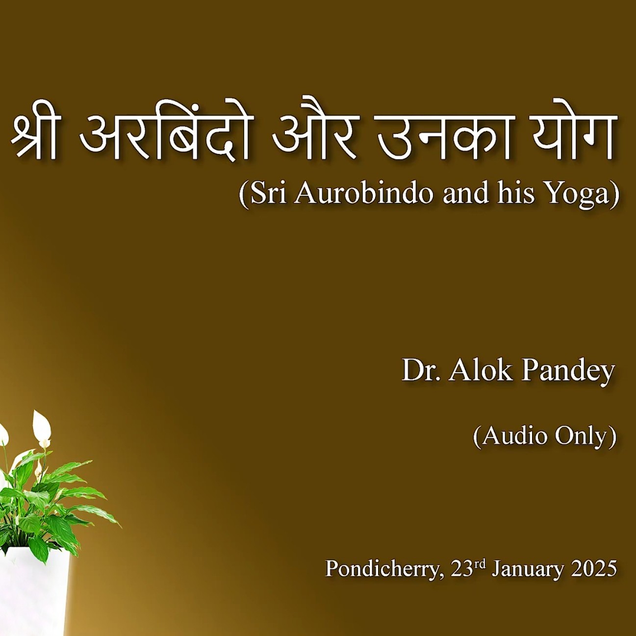 AuroMaa Daily