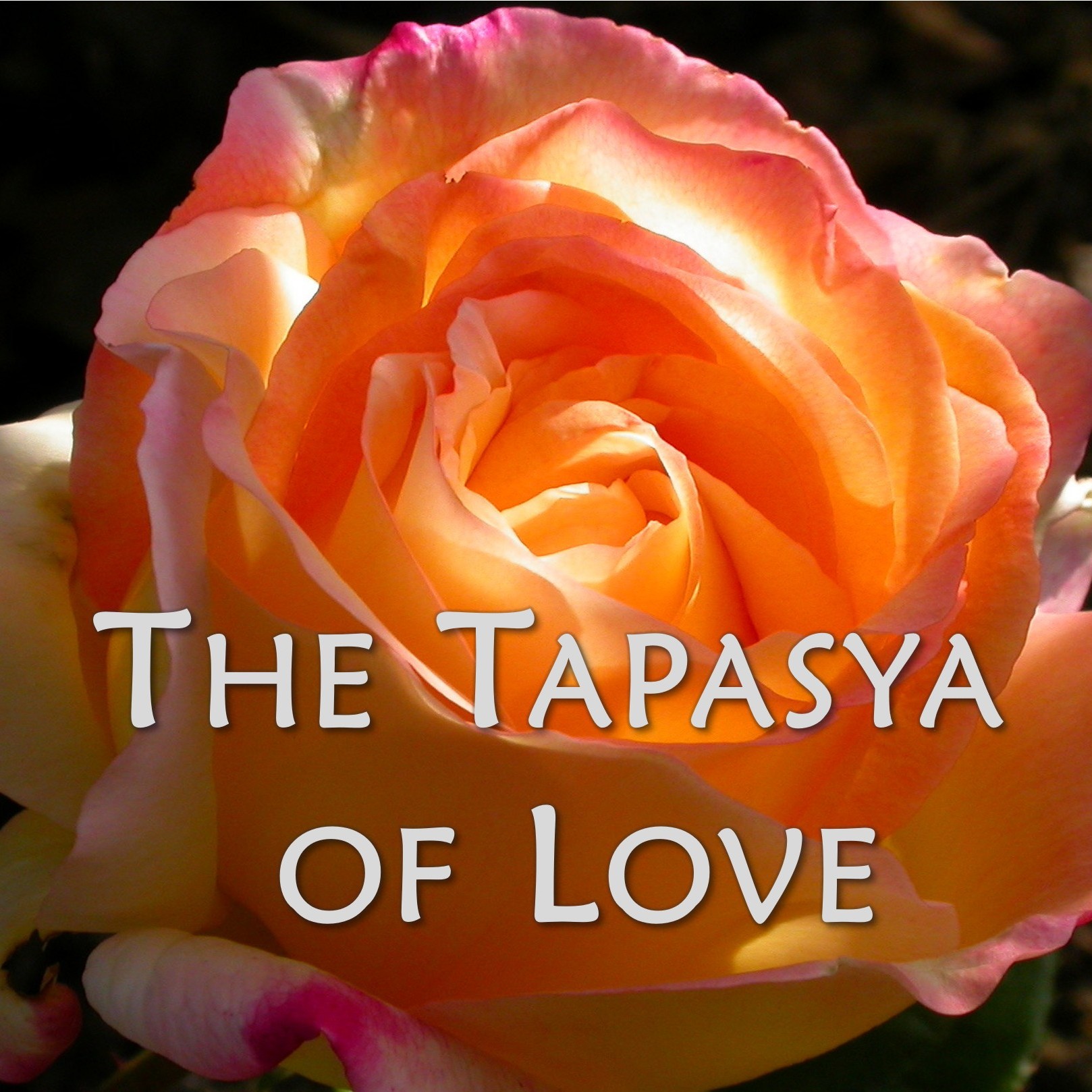 The Tapasya of Love || TE 651 || Dr. Alok Pandey
