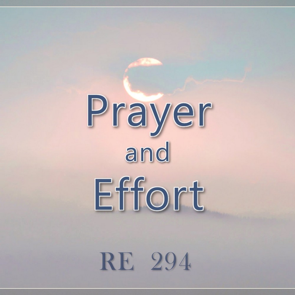 Prayer and Effort || RE 294 || Dr. Alok Pandey
