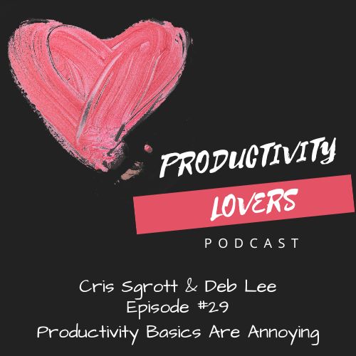 Episode #29 - When Productivity Basics are Annoying!