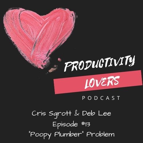 Episode #13 - The "Poopy Plumber" Productivity Problem