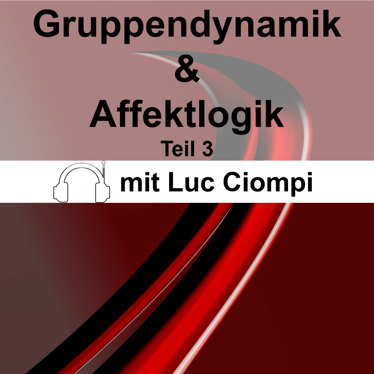 Gruppendynamik und Affektlogik Teil 3