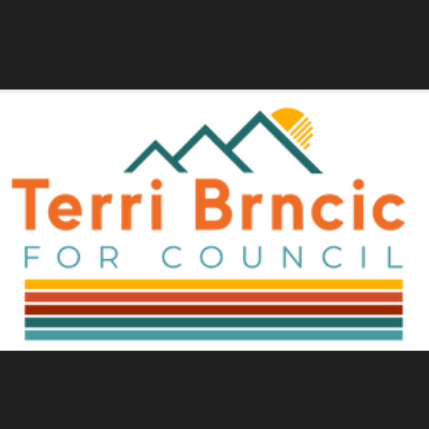 043 Terri Brncic, City Council Candidate