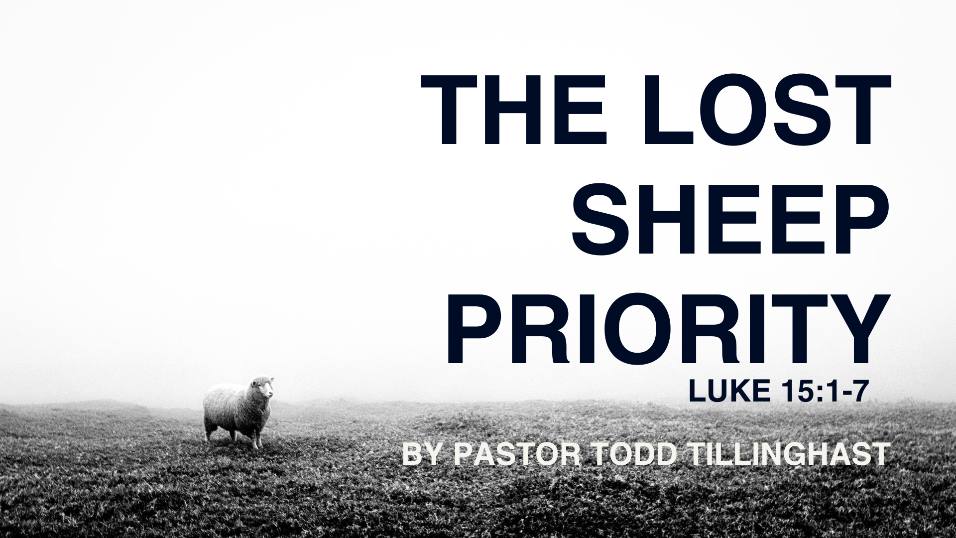 The Lost Sheep Priority