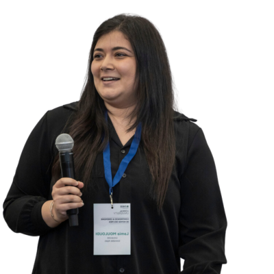 Conception d’une méthodologie de gestion des risques liés à l’approvisionnement des métaux