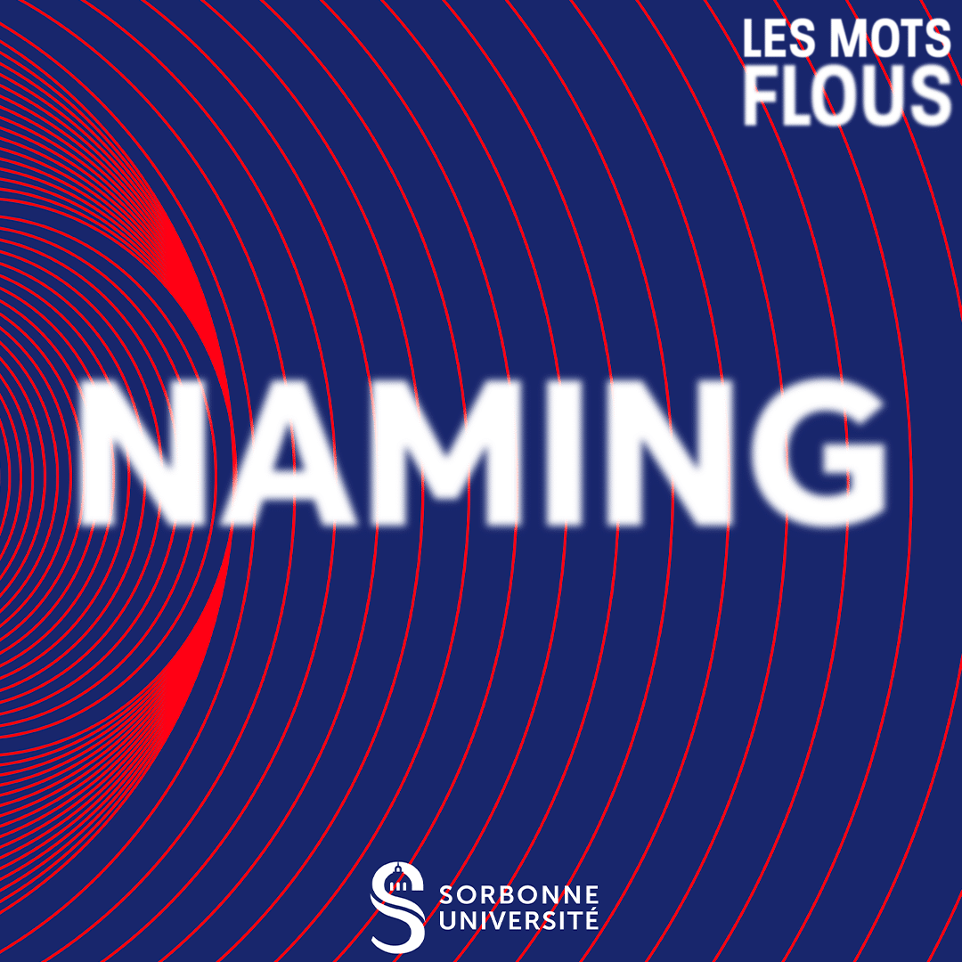 Qu'est-ce que le naming ? episode artwork