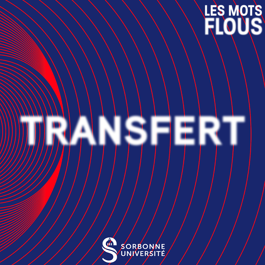 Qu'est-ce que le transfert ? episode artwork