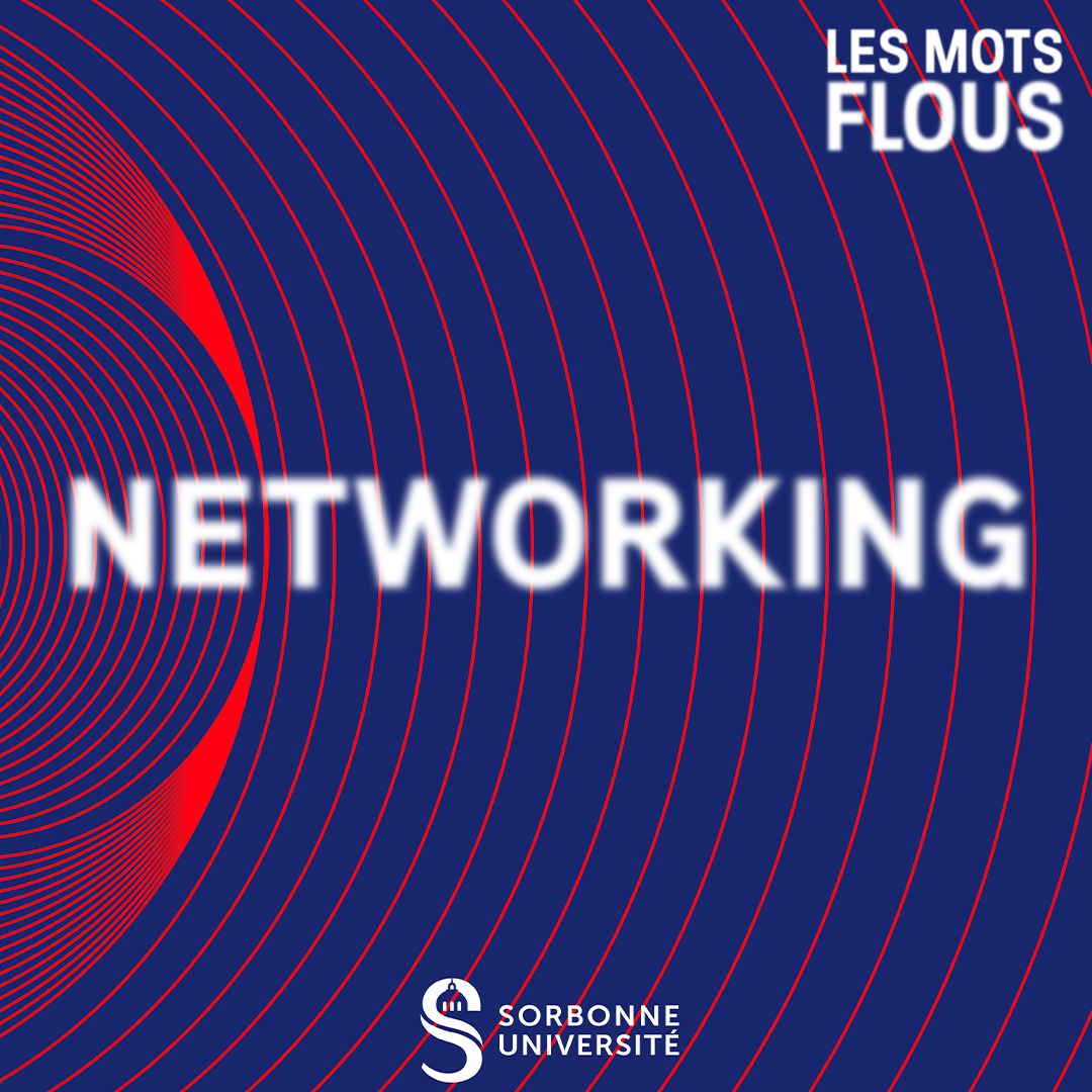 Qu'est-ce que le networking ? episode artwork