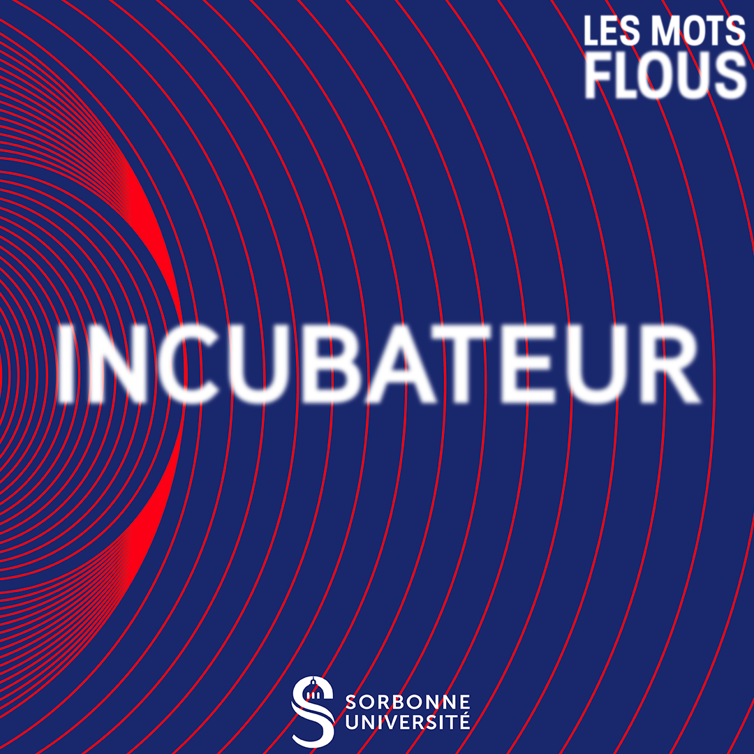 Qu'est-ce que l'incubateur ? episode artwork