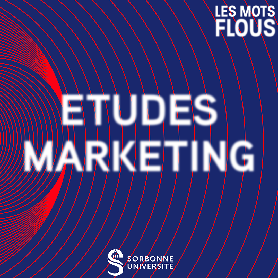 Qu'est-ce que les études marketing ? episode artwork