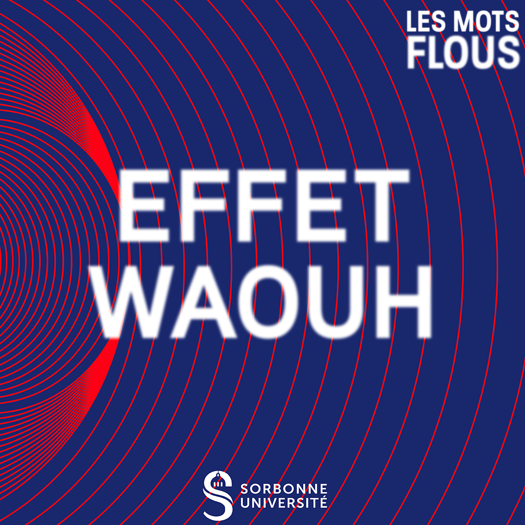 Qu'est-ce que l'effet waouh ? episode artwork