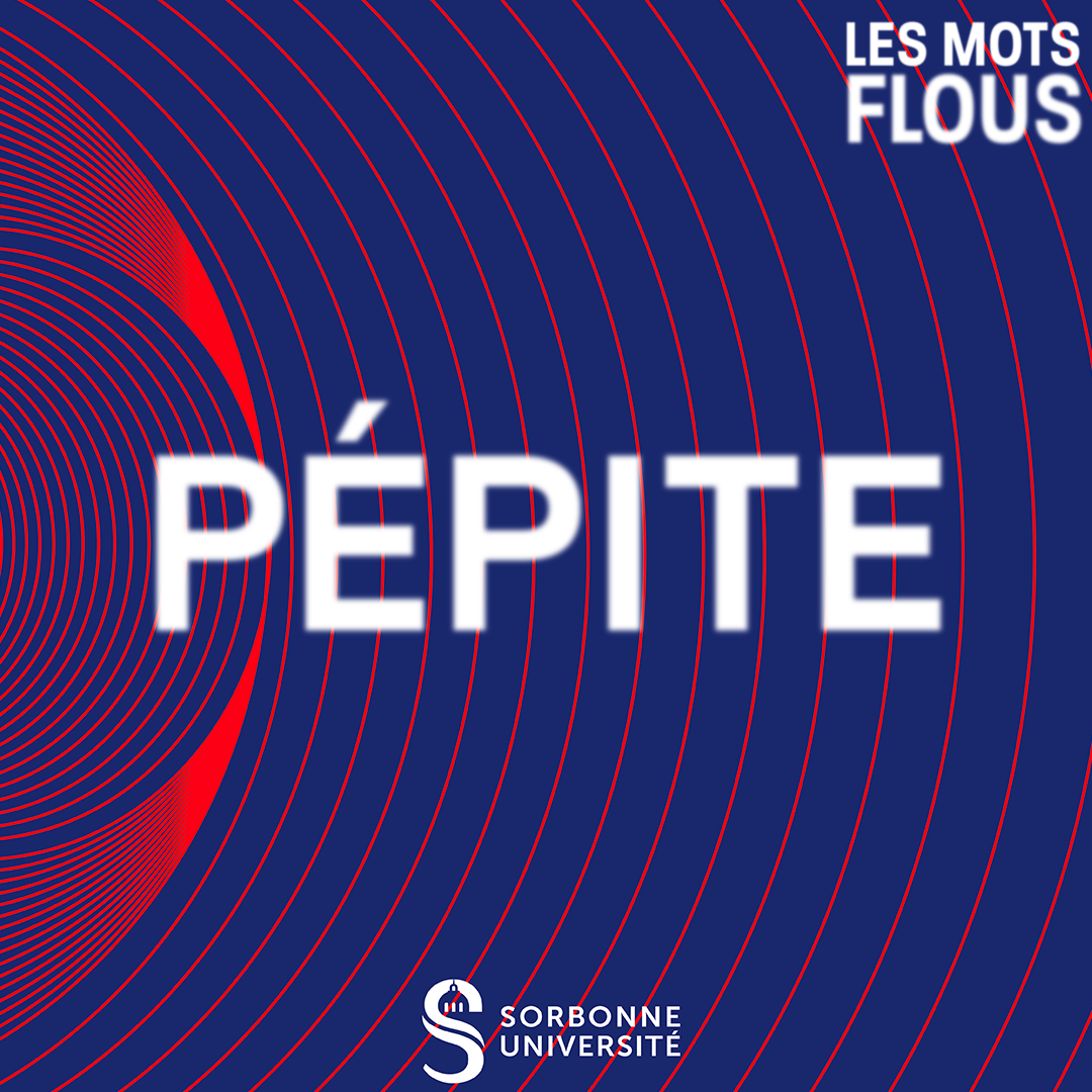 Qu'est-ce que Pépite ? episode artwork