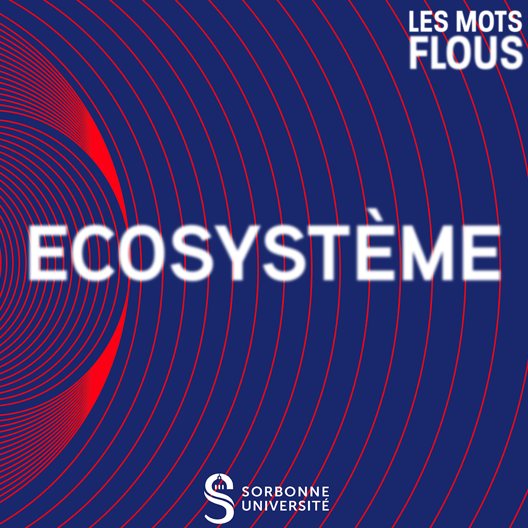 Qu'est-ce que l'écosystème ? episode artwork