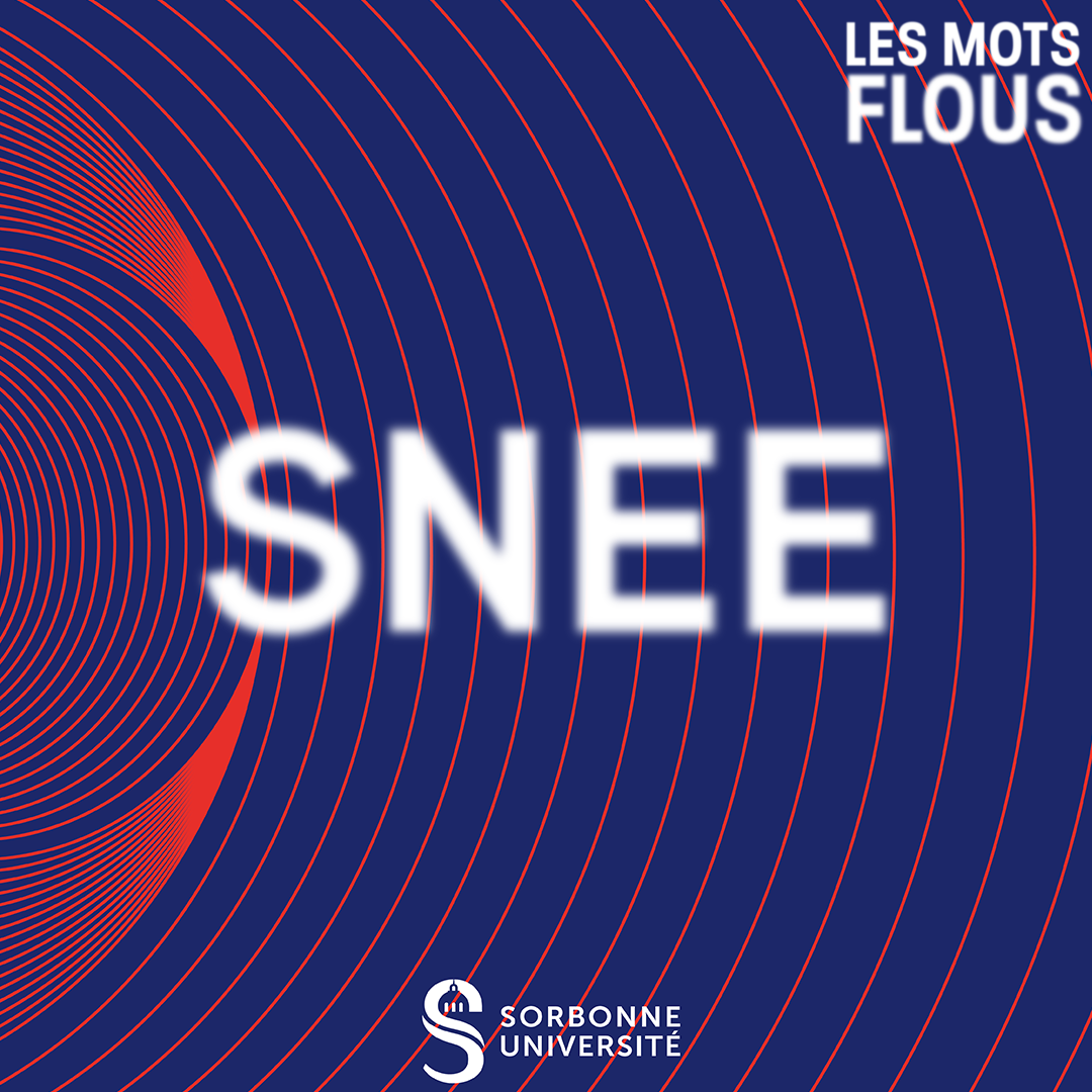 Qu'est-ce que le SNEE ? episode artwork
