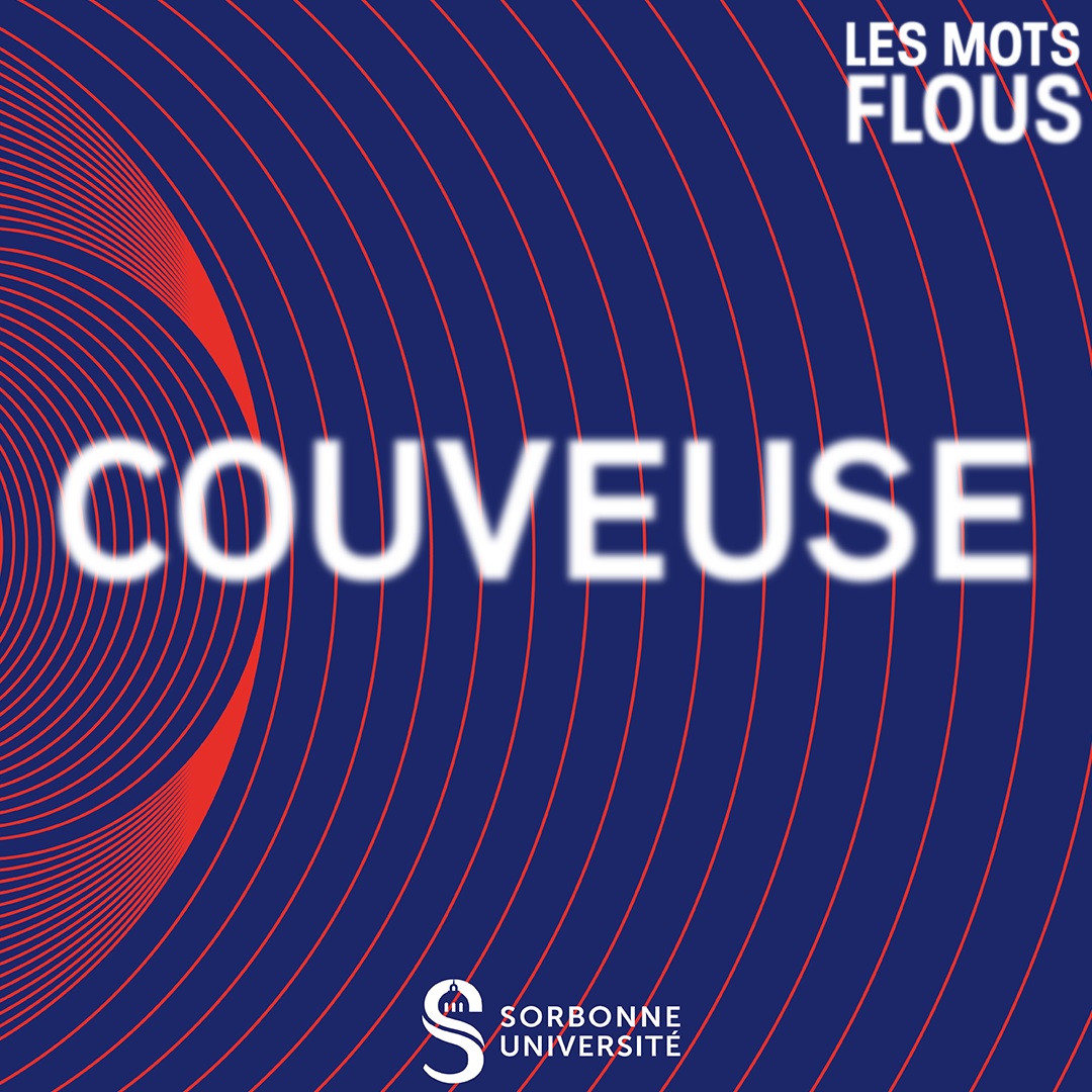 Qu'est-ce que la couveuse ? episode artwork