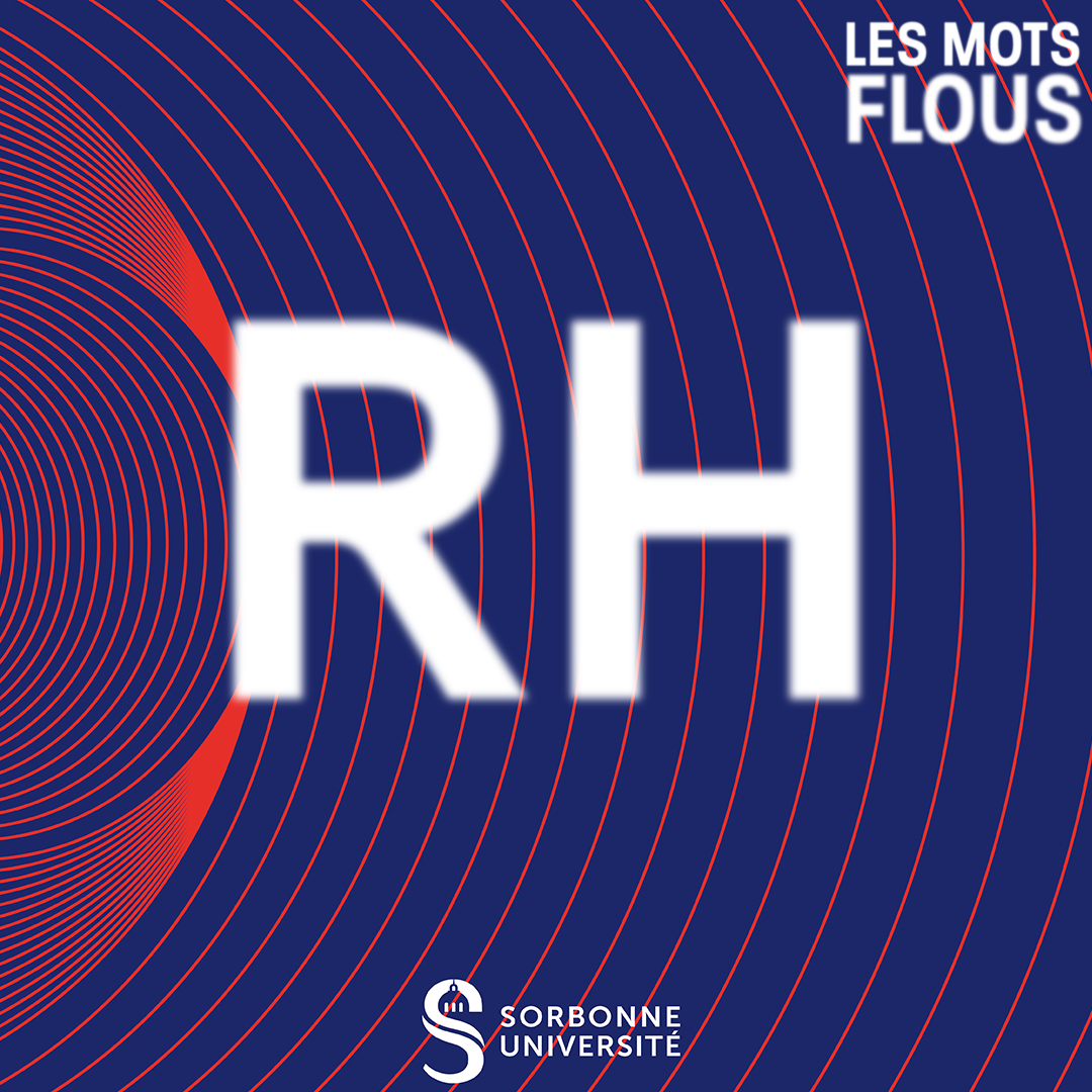 Qu’est-ce que les <b>RH </b>?