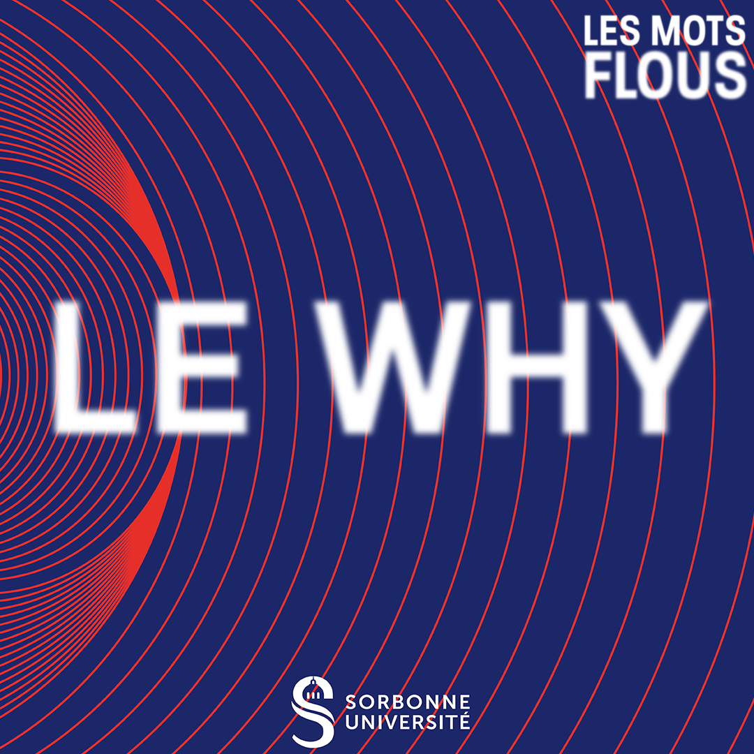 Qu’est-ce que le <b> Why </b>?