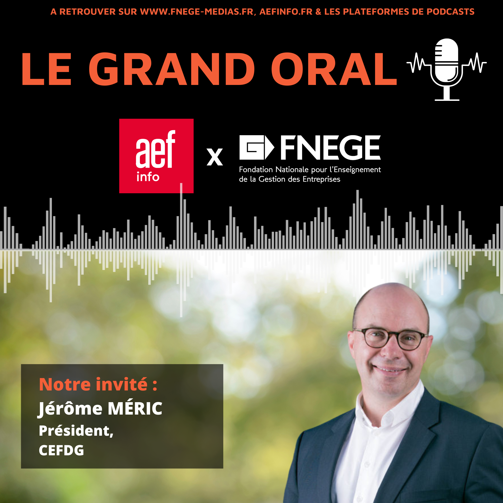 AEF Info / FNEGE - Grand Oral