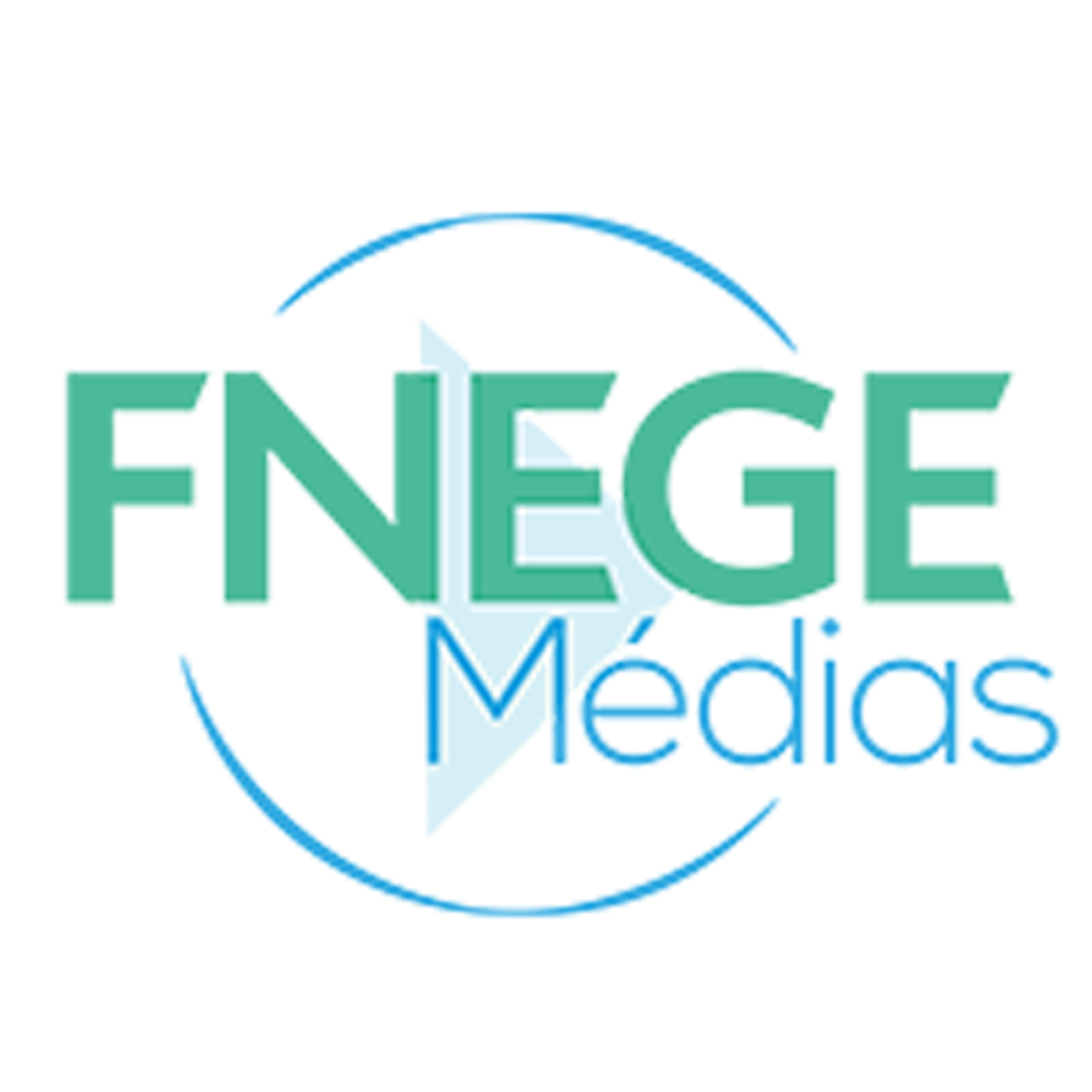FNEGE