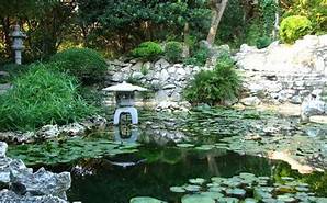 Season of Creation Series: The Nature and Spirit of Japanese Gardens