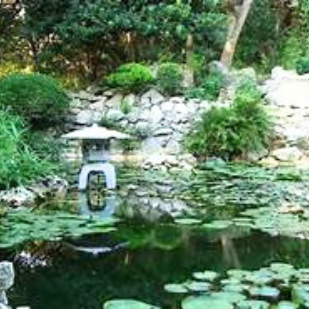 Creation Care Series: The Nature and Spirit of Japanese Gardens