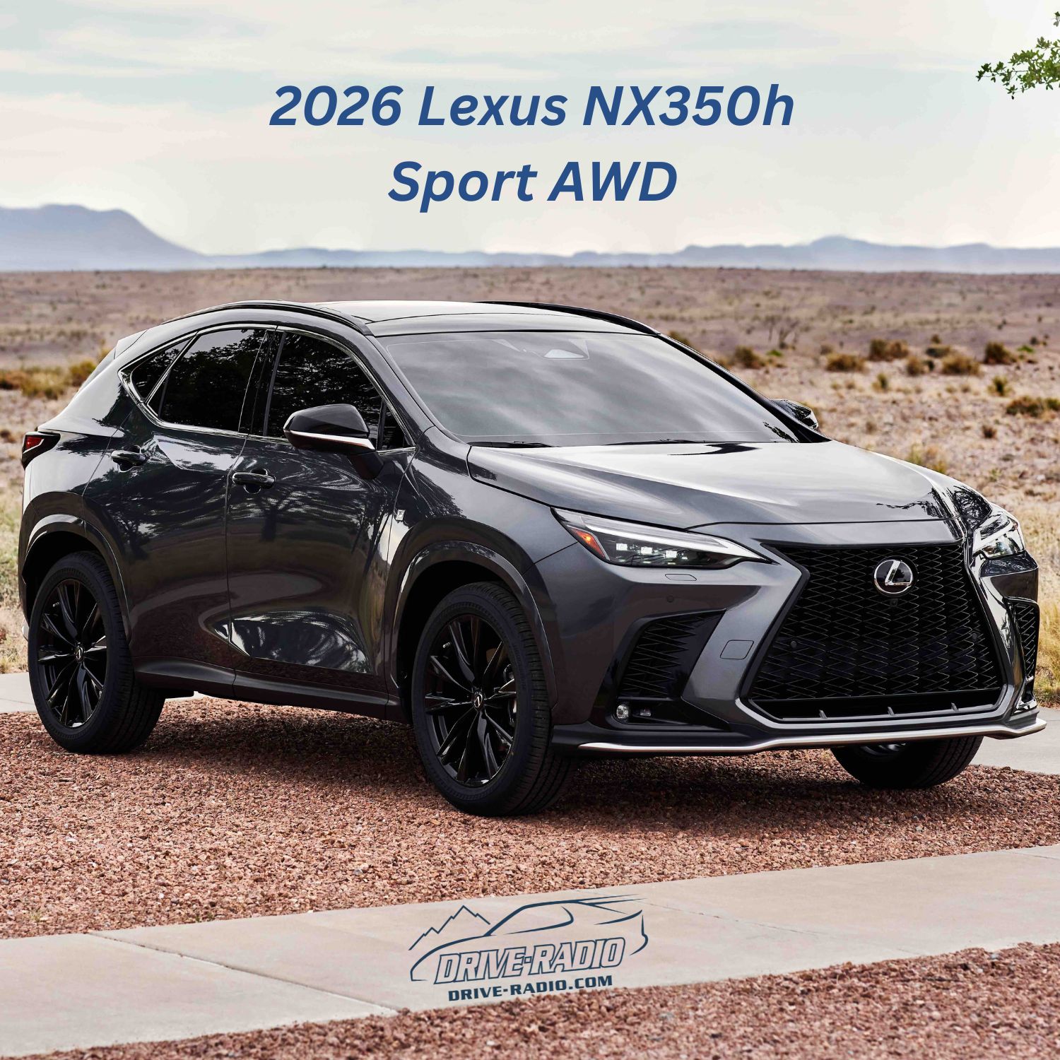 2026 Lexus NX350h F Sport AWD Review