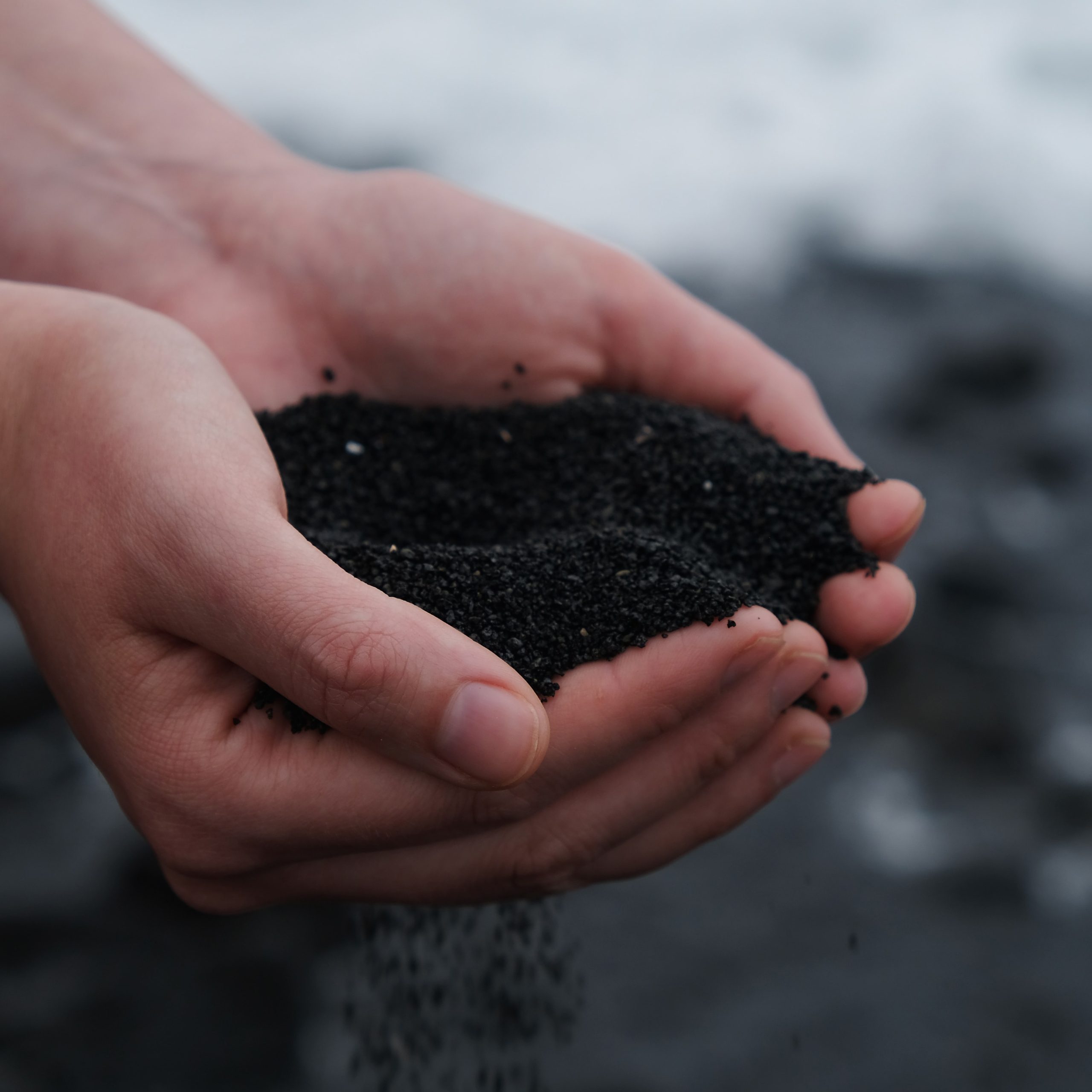 Finding Inspiration in the Compost