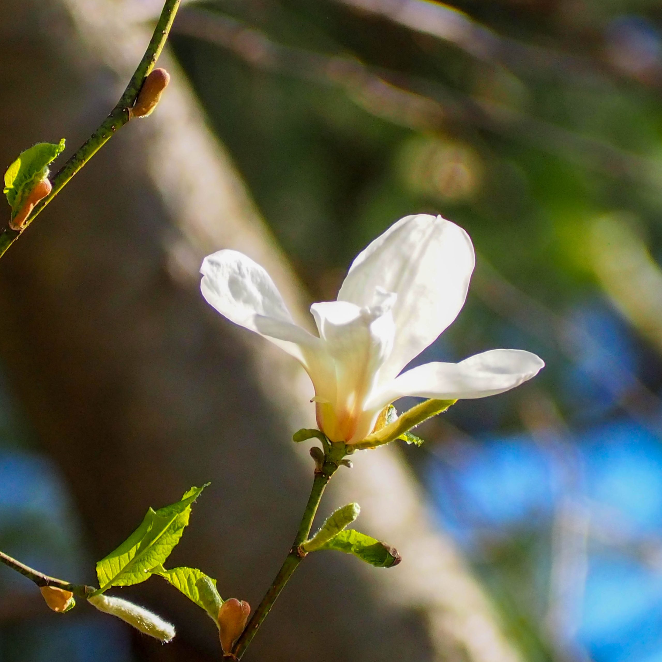 A Few (More) of Our Favorite Things