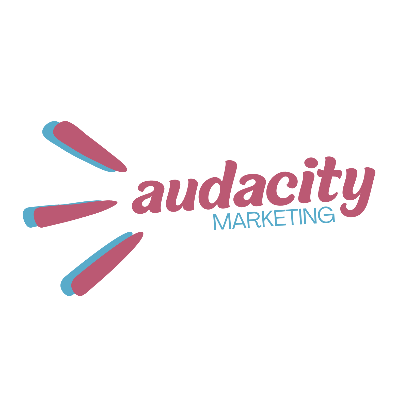 Audacity Marketing on Affiliate Marketing