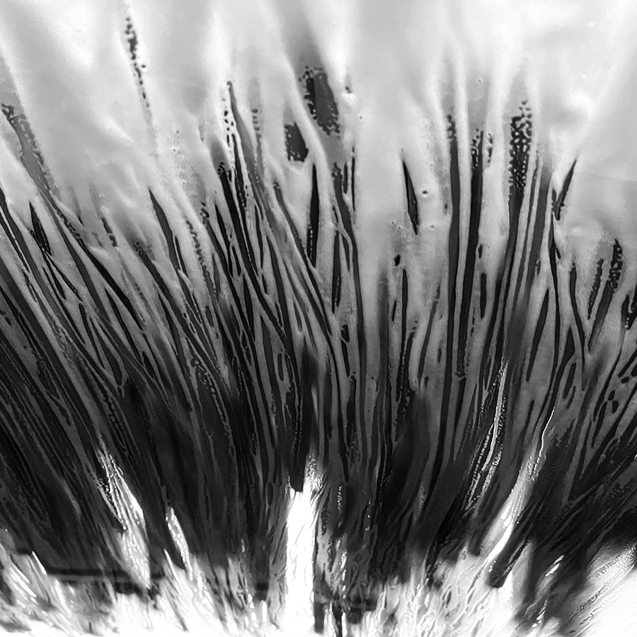 The Show About Nothing