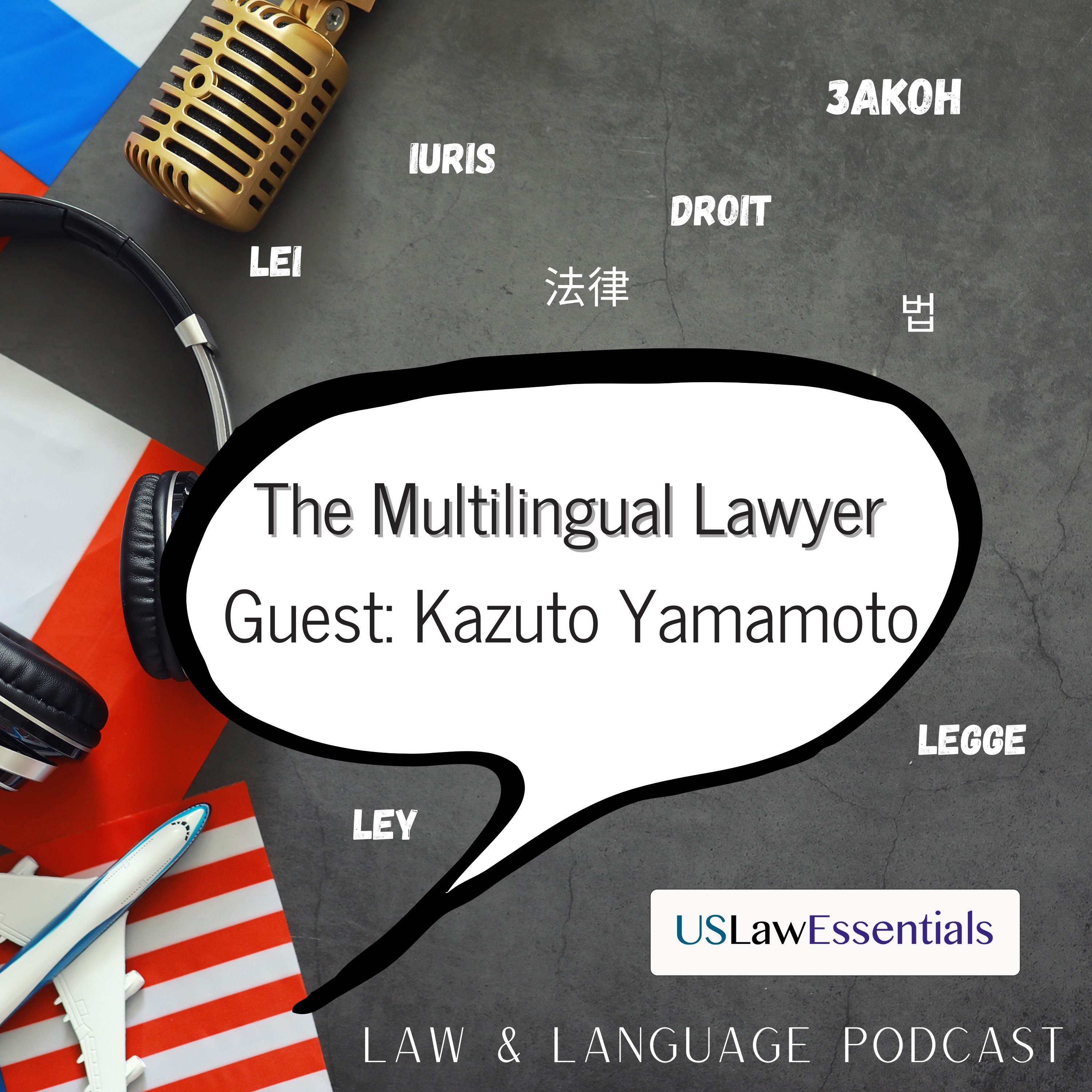 Multilingual Lawyer: Kazuto Yamamoto