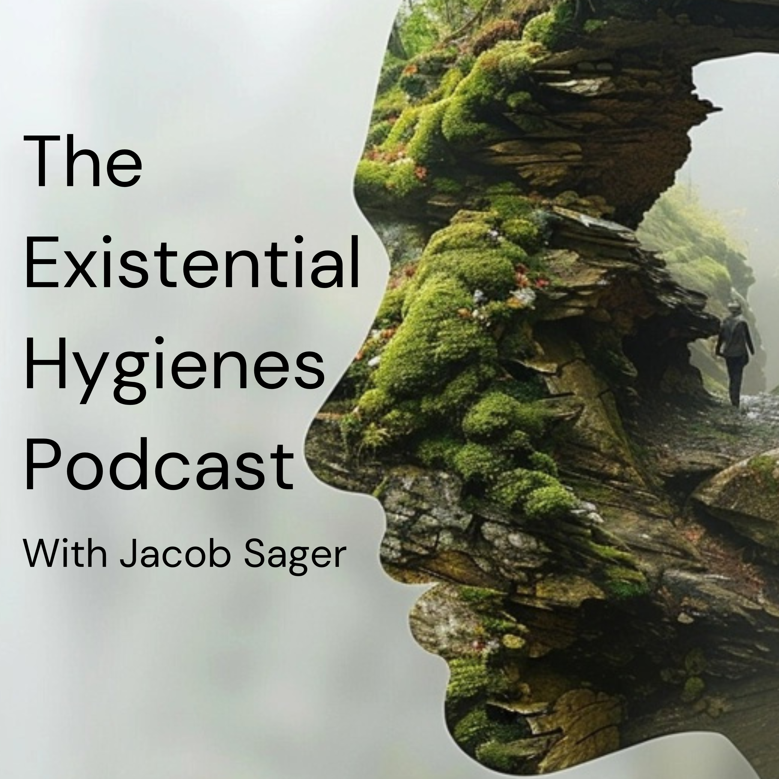 3: The Praxis: Implementing Existential Hygiene in Daily Life