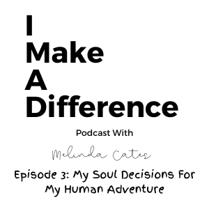 Episode 3: My Soul Decisions For My Human Adventure