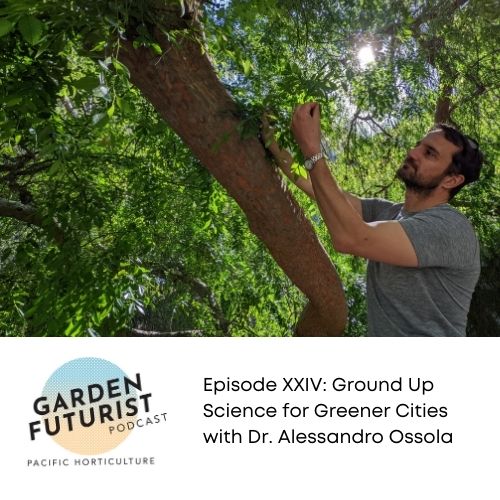 Episode XXIV: Ground Up Science for Greener Cities with Dr. Alessandro Ossola