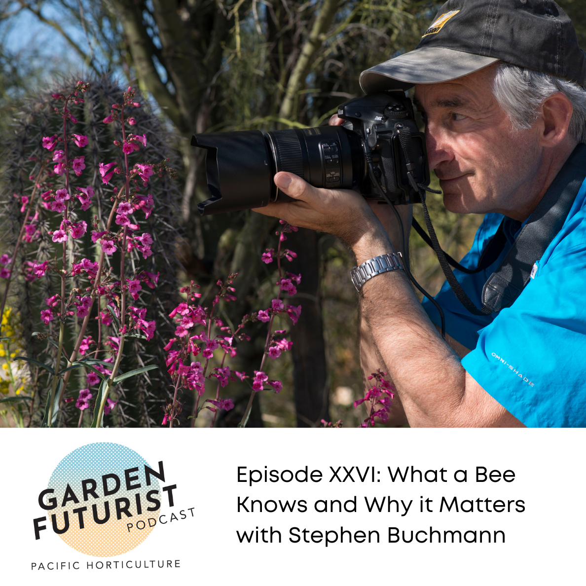 Episode XXVI: What a Bee Knows and Why it Matters with Stephen Buchmann