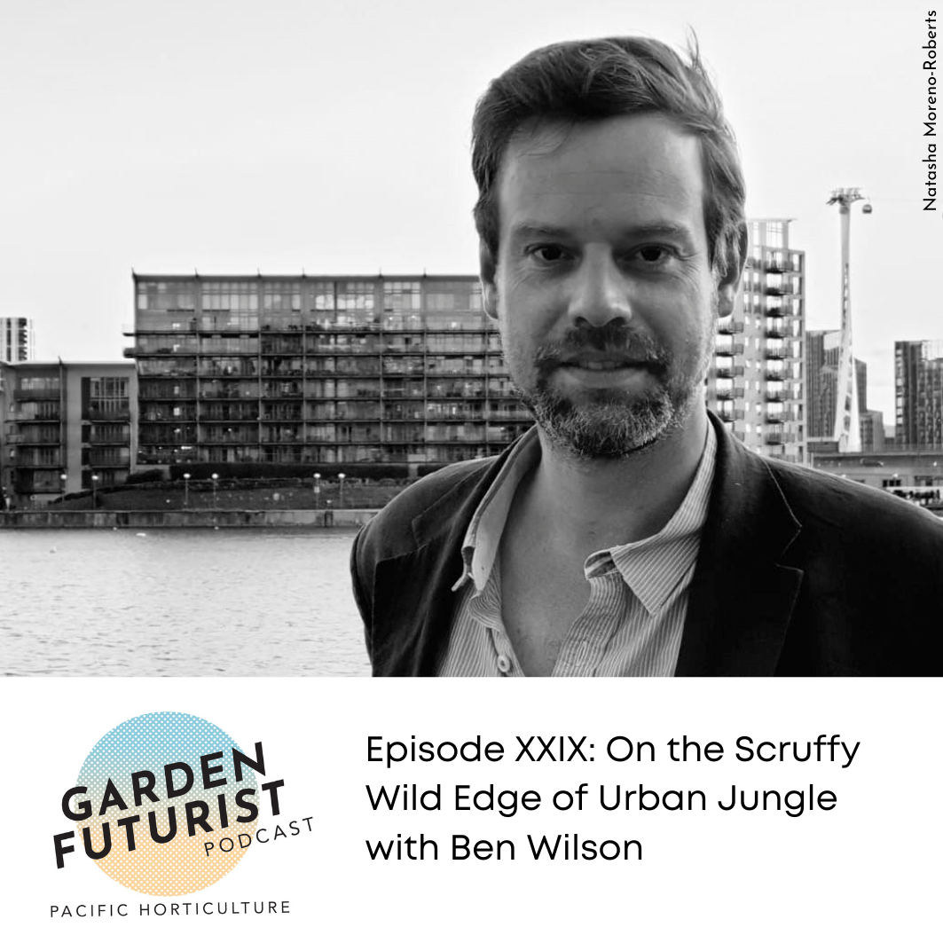 Episode XXIX: On the Scruffy Wild Edge of Urban Jungle with Ben Wilson