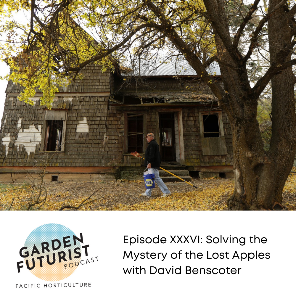Episode XXXVI: Solving the Mystery of the Lost Apples with David Benscoter