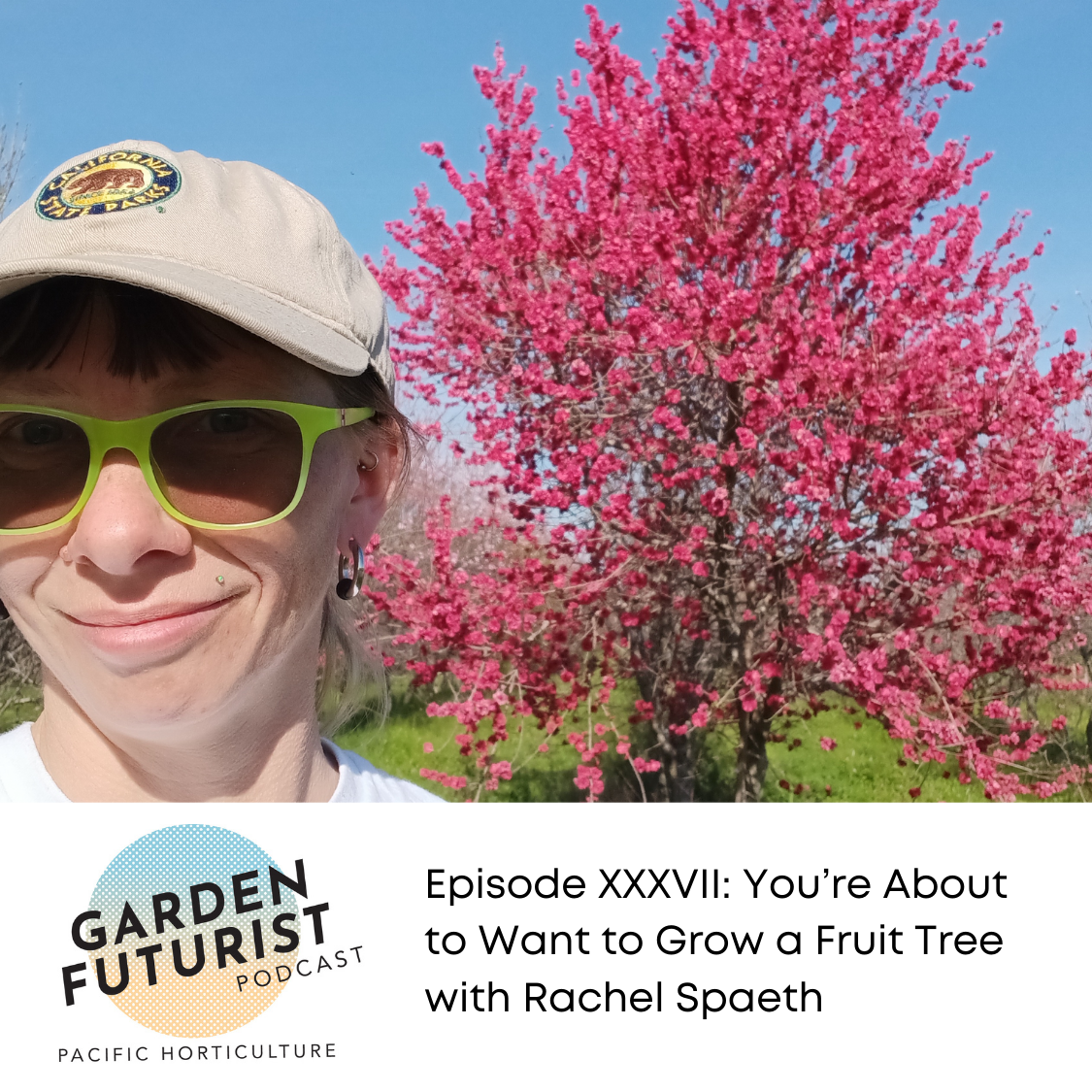 Garden Futurist Podcast: Episode XXXVII: You’re About to Want to Grow a Fruit Tree with Rachel Spaeth