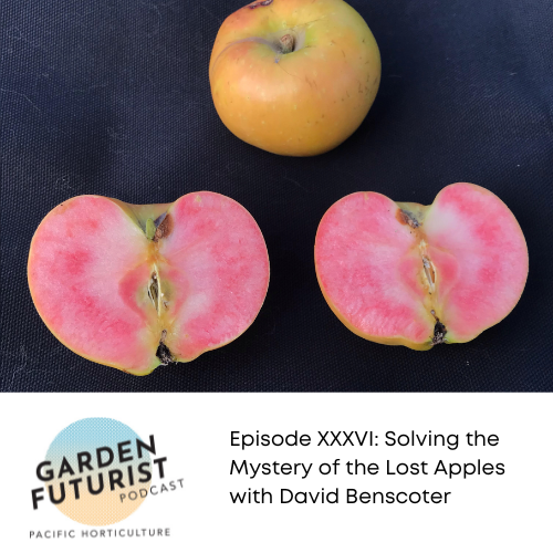 Episode XXXVI: Solving the Mystery of the Lost Apples with David Benscoter