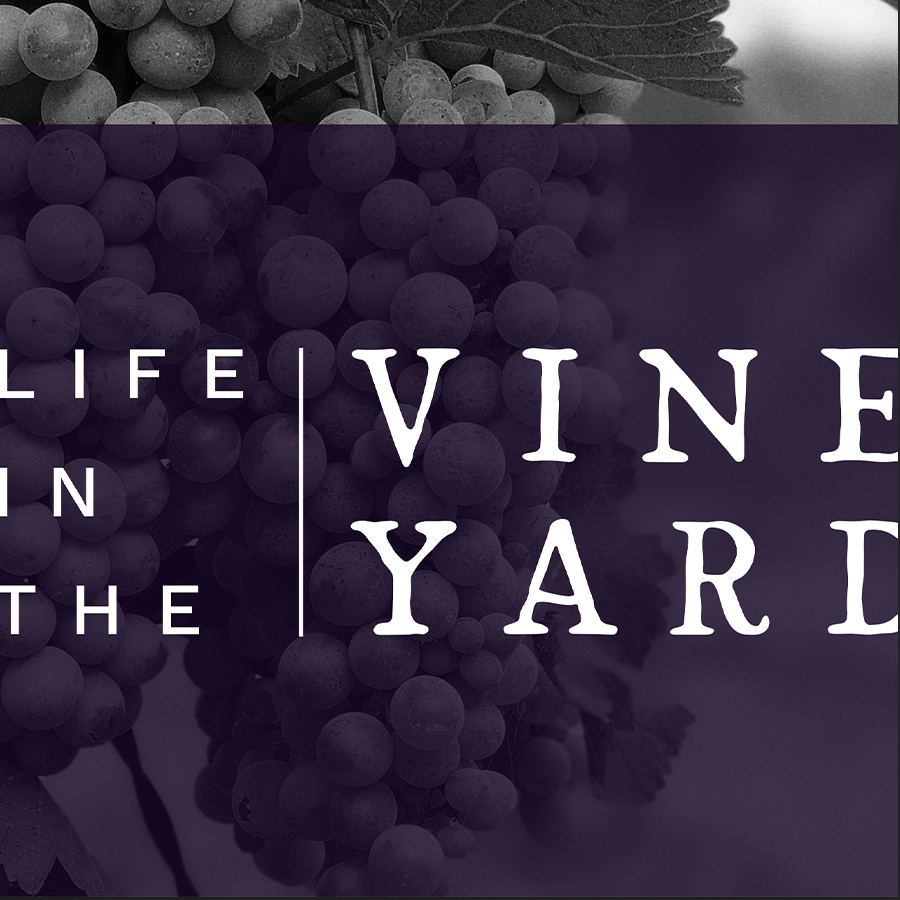 Life in the Vineyard: John 15:1-5